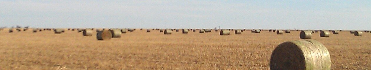 Dusty Reins Homestead